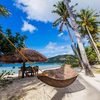 Отзыв от Василий - DTV виза